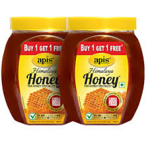 APIS HONEY B1G1 GREE