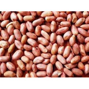 SIDHURMI MOONGPHALI 500G