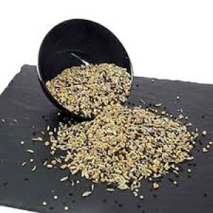 ROYAL PANCHPHORAN 100G