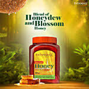 PATANJALI HONEY 500G PATANJALI HONEY 500G