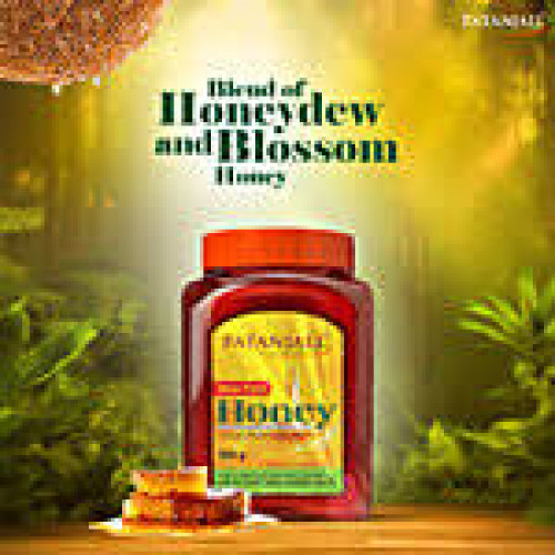 PATANJALI HONEY 500G