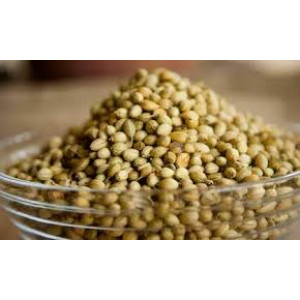 RAV DHANIYA 500G